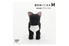＜ハナロロ＞愛犬ぬいぐるみ フレブル M(ブリンドル)【1646243】