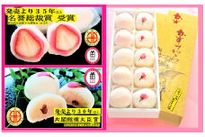 [20-07] いちのみや逸品詰め合わせ。あいちの名工のお店。