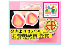 [10-17] 10個　最高位賞 名誉総裁賞『いちご大福』いちのみや土産。