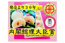 [10-18] 一宮みやげ『さくらさくらの赤飯まんじゅう』内閣総理大臣賞受賞