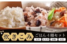 [10-C9] 炊き込みバラエティセット