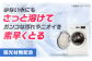 液体 洗濯洗剤 セット 600ml×2本、500ml×17袋