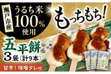 道の駅瀬戸しなの　瀬戸五平 / 五平餅 うるち米 おやつ オリジナル みそ / 瀬戸市 / 道の駅瀬戸しなの [BBCE002]