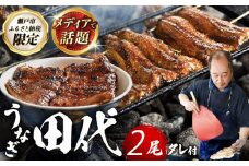 【11月発送】炭火焼き 国産うなぎ 蒲焼 2尾 / ウナギ 鰻 蒲焼 炭火 かば焼き / 瀬戸市 / うなぎ田代 [BBCA002-11] [BBCA002-11]