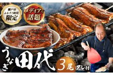 【12月発送】炭火焼き 国産うなぎ 蒲焼 3尾 / ウナギ 鰻 蒲焼 炭火 かば焼き / 瀬戸市 / うなぎ田代 [BBCA003-12] [BBCA003-12]