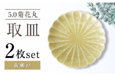 【瀬戸焼】5.0菊花丸取皿 黄瀬戸 2枚セット 【ヤマハツクリタ株式会社】 [BBDV023]