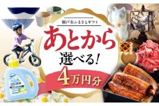 【あとから選べる】愛知県瀬戸市ふるさとギフト 寄附4万円分 あとからセレクト / 選べるギフト / あとからギフト / 瀬戸市 /  瀬戸市ふるさと納税 [BBZZ002]