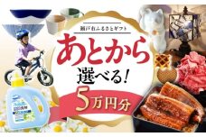 【あとから選べる】愛知県瀬戸市ふるさとギフト 寄附5万円分 あとからセレクト / 選べるギフト / あとからギフト / 瀬戸市 /  瀬戸市ふるさと納税 [BBZZ003]