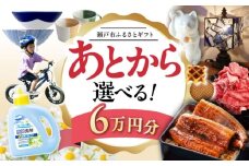 【あとから選べる】愛知県瀬戸市ふるさとギフト 寄附6万円分 あとからセレクト / 選べるギフト / あとからギフト / 瀬戸市 /  瀬戸市ふるさと納税 [BBZZ004]