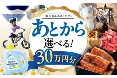 【あとから選べる】愛知県瀬戸市ふるさとギフト 寄附30万円分 あとからセレクト / 選べるギフト / あとからギフト / 瀬戸市 /  瀬戸市ふるさと納税 [BBZZ010]