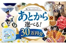 【あとから選べる】愛知県瀬戸市ふるさとギフト 寄附30万円分 あとからセレクト / 選べるギフト / あとからギフト / 瀬戸市 /  瀬戸市ふるさと納税 [BBZZ010]
