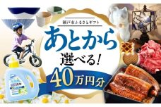 【あとから選べる】愛知県瀬戸市ふるさとギフト 寄附40万円分 あとからセレクト / 選べるギフト / あとからギフト / 瀬戸市 /  瀬戸市ふるさと納税 [BBZZ011]