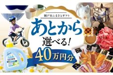 【あとから選べる】愛知県瀬戸市ふるさとギフト 寄附40万円分 あとからセレクト / 選べるギフト / あとからギフト / 瀬戸市 /  瀬戸市ふるさと納税 [BBZZ011]