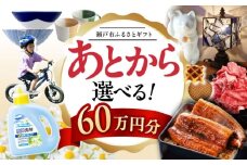 【あとから選べる】愛知県瀬戸市ふるさとギフト 寄附60万円分 あとからセレクト / 選べるギフト / あとからギフト / 瀬戸市 /  瀬戸市ふるさと納税 [BBZZ013]