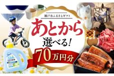 【あとから選べる】愛知県瀬戸市ふるさとギフト 寄附70万円分 あとからセレクト / 選べるギフト / あとからギフト / 瀬戸市 /  瀬戸市ふるさと納税 [BBZZ014]