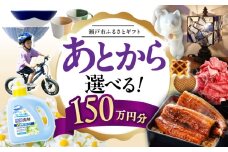 【あとから選べる】愛知県瀬戸市ふるさとギフト 寄附150万円分 あとからセレクト / 選べるギフト / あとからギフト / 瀬戸市 /  瀬戸市ふるさと納税 [BBZZ018]
