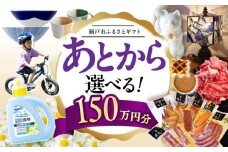 【あとから選べる】愛知県瀬戸市ふるさとギフト 寄附150万円分 あとからセレクト / 選べるギフト / あとからギフト / 瀬戸市 /  瀬戸市ふるさと納税 [BBZZ018]