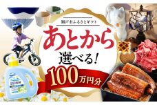 【あとから選べる】愛知県瀬戸市ふるさとギフト 寄附100万円分 あとからセレクト / 選べるギフト / あとからギフト / 瀬戸市 /  瀬戸市ふるさと納税 [BBZZ017]