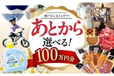 【あとから選べる】愛知県瀬戸市ふるさとギフト 寄附100万円分 あとからセレクト / 選べるギフト / あとからギフト / 瀬戸市 /  瀬戸市ふるさと納税 [BBZZ017]