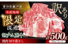 【訳あり】【11月発送】瀬戸山麓牛焼肉用切落し500g（250g×2P）/ 牛肉 お肉 国産 冷凍 / 瀬戸市 / 関屋精肉店 [BBBQ047-11]