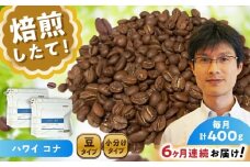 【全6回定期便】ハワイ・コナ　コーヒー豆　200g×2個(豆のまま発送)  / コーヒー  ドリップ  豆 / 瀬戸市 / Ｃｏｆｆｅｅ　ＳＡＫＵＲＡ [BBAB028]