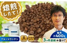 【全3回定期便】ブルーマウンテンNo.1　コーヒー豆　200g×2個(豆のまま発送)  / コーヒー  ドリップ  豆 / 瀬戸市 / Ｃｏｆｆｅｅ　ＳＡＫＵＲＡ [BBAB030]