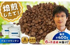 【全6回定期便】ブルーマウンテンNo.1　コーヒー豆　200g×2個(豆のまま発送)  / コーヒー  ドリップ  豆 / 瀬戸市 / Ｃｏｆｆｅｅ　ＳＡＫＵＲＡ [BBAB031]