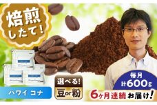 【全6回定期便】ハワイ・コナ　コーヒー豆　200g×3個 (豆)  / コーヒー  ドリップ  豆 / 瀬戸市 / Ｃｏｆｆｅｅ　ＳＡＫＵＲＡ [BBAB060]