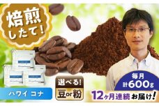 【全12回定期便】ハワイ・コナ　コーヒー粉　200g×3個(粉/中挽き)  / コーヒー  ドリップ  粉 / 瀬戸市 / Ｃｏｆｆｅｅ　ＳＡＫＵＲＡ [BBAB073]
