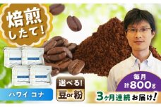 【全3回定期便】ハワイ・コナ　コーヒー粉　200g×4個(粉/中挽き)  / コーヒー  ドリップ  粉 / 瀬戸市 / Ｃｏｆｆｅｅ　ＳＡＫＵＲＡ [BBAB075]