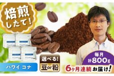 【全6回定期便】ハワイ・コナ　コーヒー粉　200g×4個(粉/中挽き)  / コーヒー  ドリップ  粉 / 瀬戸市 / Ｃｏｆｆｅｅ　ＳＡＫＵＲＡ [BBAB076]