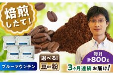 【全3回定期便】ブルーマウンテンNo.1　コーヒー豆　200g×4個 (豆)  / コーヒー  ドリップ  豆 / 瀬戸市 / Ｃｏｆｆｅｅ　ＳＡＫＵＲＡ [BBAB083]