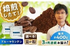 【全3回定期便】ブルーマウンテンNo.1　コーヒー粉　200g×2個(粉/中挽き)  / コーヒー  ドリップ  粉 / 瀬戸市 / Ｃｏｆｆｅｅ　ＳＡＫＵＲＡ [BBAB087]