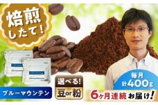 【全6回定期便】ブルーマウンテンNo.1　コーヒー粉　200g×2個(粉/中挽き)  / コーヒー  ドリップ  粉 / 瀬戸市 / Ｃｏｆｆｅｅ　ＳＡＫＵＲＡ [BBAB088]