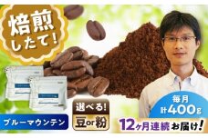 【全12回定期便】ブルーマウンテンNo.1　コーヒー粉　200g×2個(粉/中挽き)  / コーヒー  ドリップ  粉 / 瀬戸市 / Ｃｏｆｆｅｅ　ＳＡＫＵＲＡ [BBAB089]