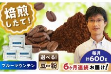 【全6回定期便】ブルーマウンテンNo.1　コーヒー粉　200g×3個(粉/中挽き)  / コーヒー  ドリップ  粉 / 瀬戸市 / Ｃｏｆｆｅｅ　ＳＡＫＵＲＡ [BBAB092]