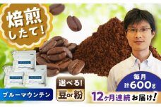 【全12回定期便】ブルーマウンテンNo.1　コーヒー粉　200g×3個(粉/中挽き)  / コーヒー  ドリップ  粉 / 瀬戸市 / Ｃｏｆｆｅｅ　ＳＡＫＵＲＡ [BBAB093]