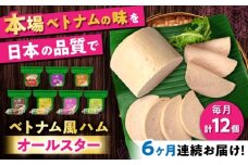 【全6回定期便】ベトナムハム オールスターセット / ハム はむ ベトナム ベトナム料理 / 瀬戸市 / 株式会社フードフォース [BBBE017]