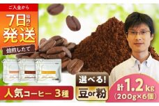 【店主厳選】人気コーヒー 3種セット（粉） / 珈琲 コーヒー / 瀬戸市 / Ｃｏｆｆｅｅ　ＳＡＫＵＲＡ [BBAB149]