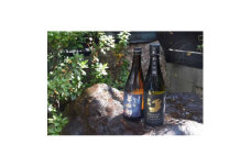 半田の酒　飲み比べセット(純米吟醸酒720ml×2本)【1289499】