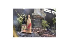 半田の酒、銘酒　清正　飲み比べセット(1.8L×2本)【1289686】