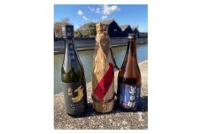 半田の酒、飲み比べセット(純米吟醸酒720ml×3本)【1289665】