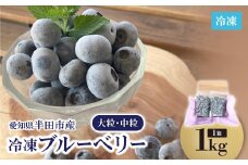 知多半島・半田市産　冷凍ブルーベリー(大粒・中粒)1Kg【1412297】