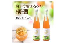＜金鯱＞純米吟醸仕込みの梅酒(500ml×2本)【1485677】