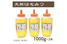 竹内養蜂の蜂蜜1種(くろがねもち3本) 各1000g【1488840】