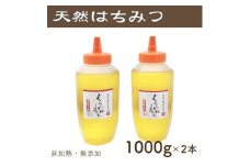 竹内養蜂の蜂蜜1種(くろがねもち2本) 各1000g【1488842】