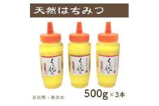 竹内養蜂の蜂蜜1種(くろがねもち3本) 各500g【1488844】