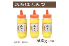 竹内養蜂の蜂蜜1種(みかん3本) 各500g【1488858】