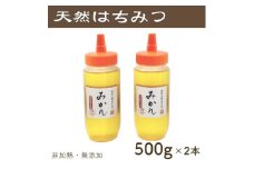 竹内養蜂の蜂蜜1種(みかん2本) 各500g【1488859】