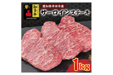 愛知県半田市　知多牛サーロインステーキ1kg【1542922】